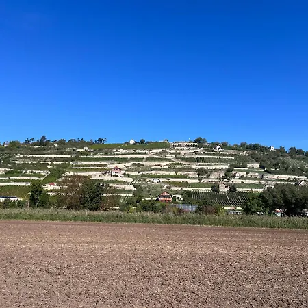 Casa Vinea Freyburg